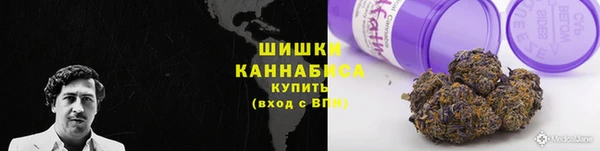 ПСИЛОЦИБИНОВЫЕ ГРИБЫ Абдулино