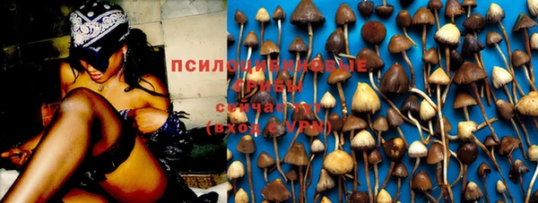 ПСИЛОЦИБИНОВЫЕ ГРИБЫ Абдулино