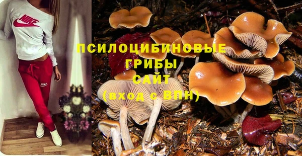 ПСИЛОЦИБИНОВЫЕ ГРИБЫ Абдулино