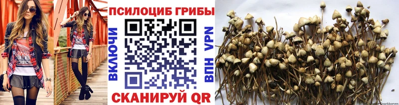 площадка состав  блэк спрут вход  Усолье-Сибирское  Псилоцибиновые грибы Psilocybine cubensis 